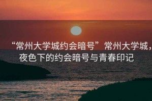 “常州大學(xué)城約會(huì )暗號”常州大學(xué)城，夜色下的約會(huì )暗號與青春印記