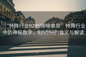 “特殊行業(yè)929598啥意思”特殊行業(yè)中的神秘數字，929598的含義與解讀