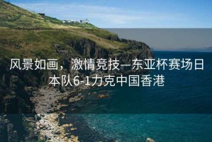 風(fēng)景如畫(huà)，激情競技—東亞杯賽場(chǎng)日本隊6-1力克中國香港