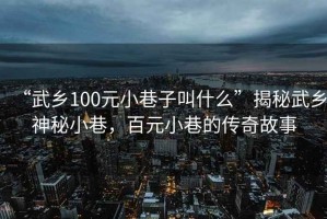 “武鄉100元小巷子叫什么”揭秘武鄉神秘小巷，百元小巷的傳奇故事