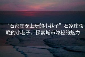 “石家莊晚上玩的小巷子”石家莊夜晚的小巷子，探索城市隱秘的魅力