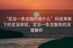 “足浴一條龍指的是什么”科技革新下的足浴體驗，足浴一條龍服務(wù)的深度解析
