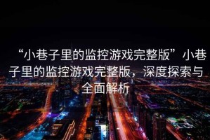 “小巷子里的監控游戲完整版”小巷子里的監控游戲完整版，深度探索與全面解析