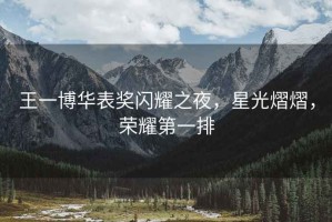 王一博華表獎閃耀之夜，星光熠熠，榮耀第一排
