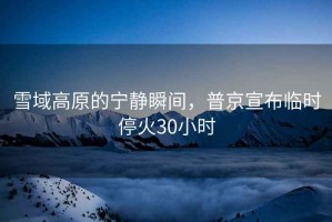 雪域高原的寧靜瞬間，普京宣布臨時(shí)?；?0小時(shí)
