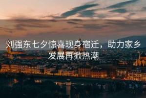 劉強東七夕驚喜現身宿遷，助力家鄉發(fā)展再掀熱潮