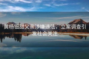 黃楊鈿甜父親涉嫌違法，立案調查引發(fā)社會(huì )關(guān)注
