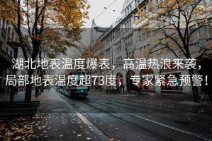 湖北地表溫度爆表，高溫熱浪來(lái)襲，局部地表溫度超73度，專(zhuān)家緊急預警！