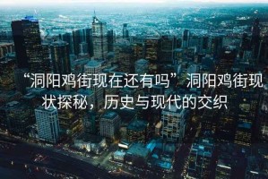 “洞陽(yáng)雞街現在還有嗎”洞陽(yáng)雞街現狀探秘，歷史與現代的交織