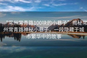 “常州常青路100塊的小巷子”揭秘常州常青路神秘小巷子，一段隱藏于城市繁華中的故事
