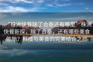“株洲快餐除了合泰還有哪里”株洲快餐新探，除了合泰，還有哪些美食勝地？科技與美食的完美結合之旅
