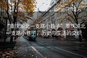 “重慶渝北一支路小巷子”重慶渝北一支路小巷子，歷史與生活的交織