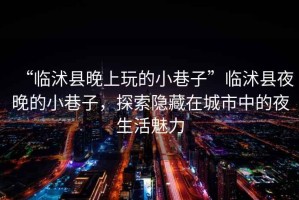 “臨沭縣晚上玩的小巷子”臨沭縣夜晚的小巷子，探索隱藏在城市中的夜生活魅力