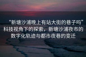 “新塘沙浦晚上有站大街的巷子嗎”科技視角下的探索，新塘沙浦夜市的數字化軌跡與都市夜巷的變遷