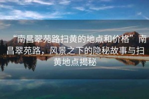 “南昌翠苑路掃黃的地點(diǎn)和價(jià)格”南昌翠苑路，風(fēng)景之下的隱秘故事與掃黃地點(diǎn)揭秘