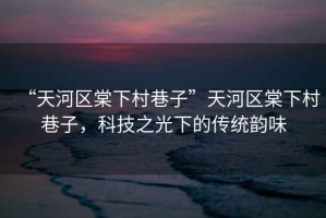 “天河區棠下村巷子”天河區棠下村巷子，科技之光下的傳統韻味