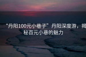 “丹陽(yáng)100元小巷子”丹陽(yáng)深度游，揭秘百元小巷的魅力