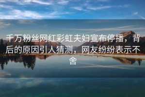 千萬(wàn)粉絲網(wǎng)紅彩虹夫婦宣布停播，背后的原因引人猜測，網(wǎng)友紛紛表示不舍