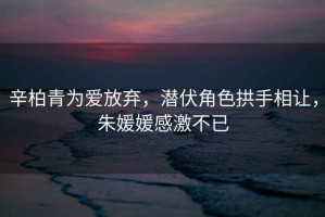 辛柏青為愛(ài)放棄，潛伏角色拱手相讓?zhuān)戽骆赂屑げ灰? title=