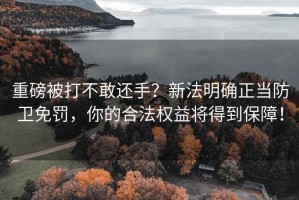 重磅被打不敢還手？新法明確正當防衛免罰，你的合法權益將得到保障！