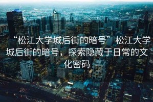 “松江大學(xué)城后街的暗號”松江大學(xué)城后街的暗號，探索隱藏于日常的文化密碼