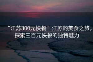 “江蘇300元快餐”江蘇的美食之旅，探索三百元快餐的獨特魅力