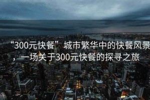 “300元快餐”城市繁華中的快餐風(fēng)景，一場(chǎng)關(guān)于300元快餐的探尋之旅