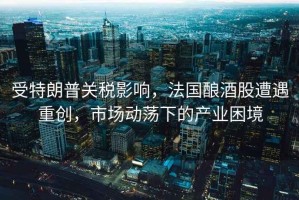 受特朗普關(guān)稅影響，法國釀酒股遭遇重創(chuàng  )，市場(chǎng)動(dòng)蕩下的產(chǎn)業(yè)困境
