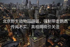 北京野生動(dòng)物園辟謠，強制帶走鸚鵡傳聞不實(shí)，真相揭曉引關(guān)注