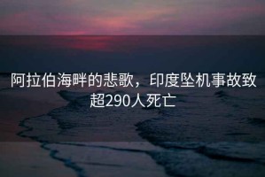 阿拉伯海畔的悲歌，印度墜機事故致超290人死亡