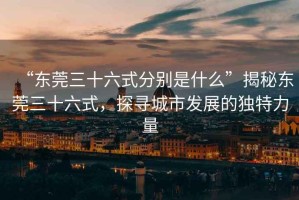 “東莞三十六式分別是什么”揭秘東莞三十六式，探尋城市發(fā)展的獨特力量