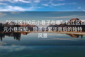 “松江區100元小巷子在哪”松江區百元小巷探秘，隱匿于繁華背后的獨特風(fēng)景