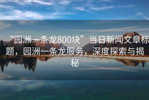 “園洲一條龍800塊”當日新聞文章標題，園洲一條龍服務(wù)，深度探索與揭秘