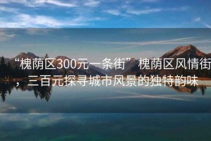 “槐蔭區300元一條街”槐蔭區風(fēng)情街，三百元探尋城市風(fēng)景的獨特韻味