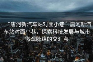 “唐河新汽車(chē)站對面小巷”唐河新汽車(chē)站對面小巷，探索科技發(fā)展與城市微觀(guān)脈絡(luò )的交匯點(diǎn)