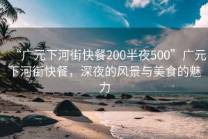 “廣元下河街快餐200半夜500”廣元下河街快餐，深夜的風(fēng)景與美食的魅力