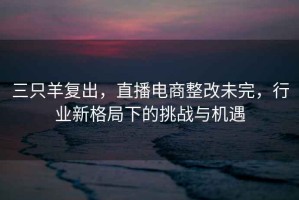 三只羊復出，直播電商整改未完，行業(yè)新格局下的挑戰與機遇