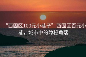 “西固區100元小巷子”西固區百元小巷，城市中的隱秘角落