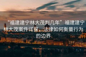“福建建寧林大茂判幾年”福建建寧林大茂案件詳探，法律如何衡量行為的邊界