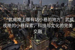 “武威晚上哪有站小巷的地方”武威夜晚的小巷探索，科技與文化的完美交融