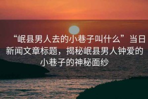 “岷縣男人去的小巷子叫什么”當日新聞文章標題，揭秘岷縣男人鐘愛(ài)的小巷子的神秘面紗