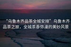 “烏魯木齊品茶全城安排”烏魯木齊品茶之旅，全城茶香彌漫的美妙風(fēng)景