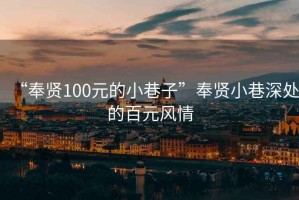 “奉賢100元的小巷子”奉賢小巷深處的百元風(fēng)情