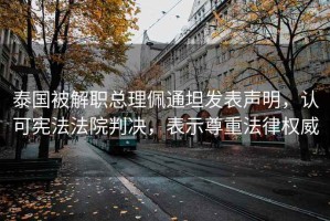 泰國被解職總理佩通坦發(fā)表聲明，認可憲法法院判決，表示尊重法律權威
