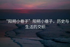 “陽(yáng)朔小巷子”陽(yáng)朔小巷子，歷史與生活的交織