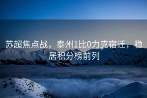 蘇超焦點(diǎn)戰，泰州1比0力克宿遷，穩居積分榜前列