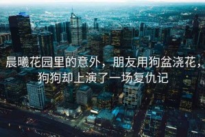 晨曦花園里的意外，朋友用狗盆澆花，狗狗卻上演了一場(chǎng)復仇記