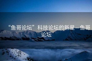 “魚(yú)哥論壇”科技論壇的新星—魚(yú)哥論壇