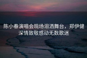 陳小春演唱會(huì )現場(chǎng)淚灑舞臺，鄭伊健深情致敬感動(dòng)無(wú)數歌迷