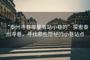 “泰州寺巷哪里有站小巷的”探索泰州寺巷，尋找那些隱秘的小巷站點(diǎn)